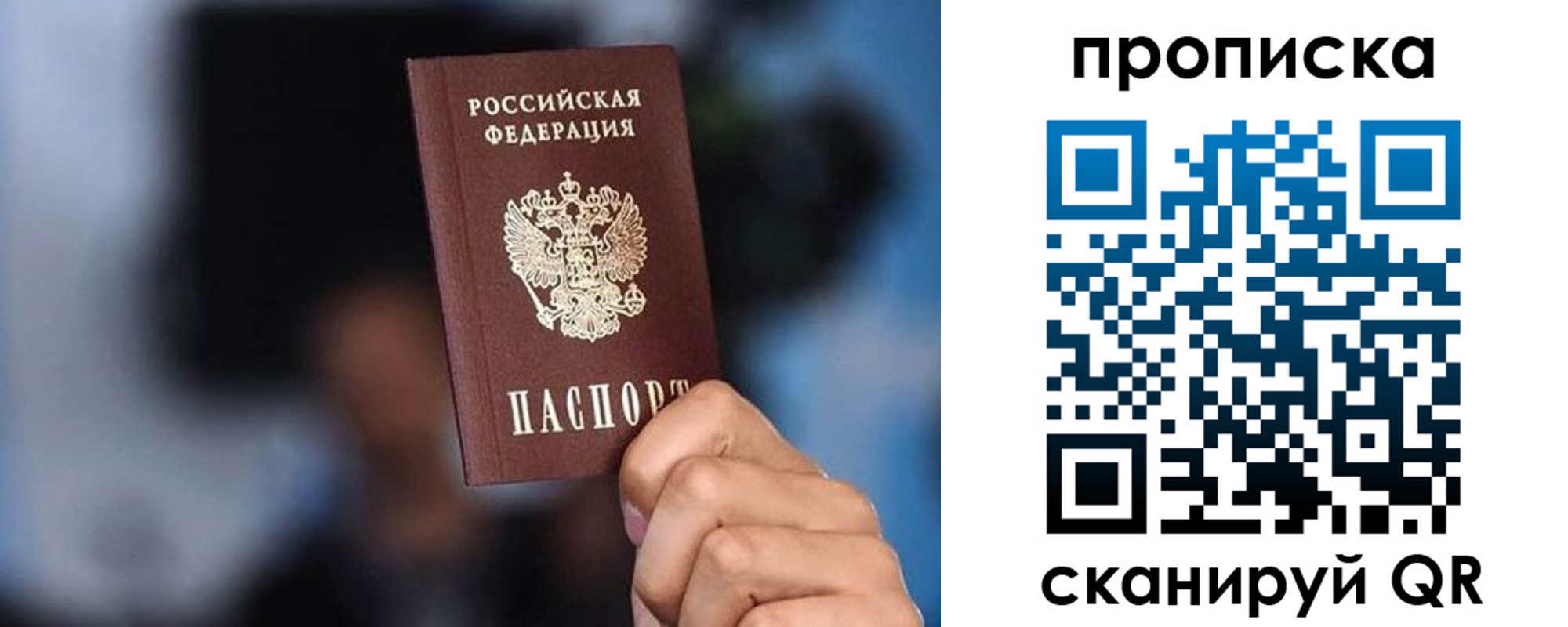 прописка законно в Зверево